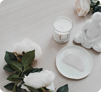 eCommerce and subscription delivery apps for pet retail and food brands