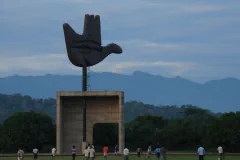 Chandigarh 240