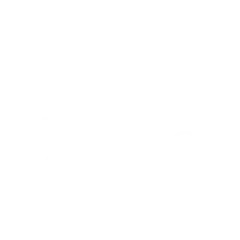 The Ziana logo