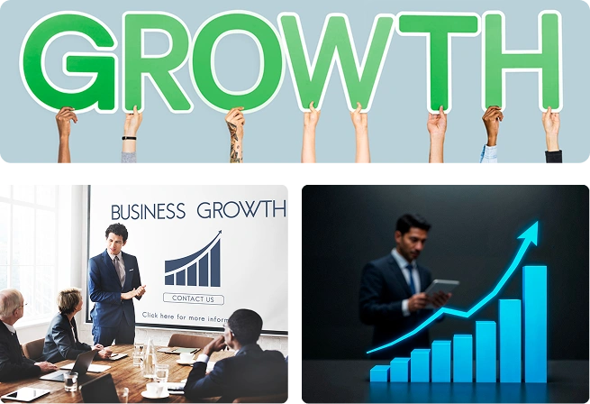 Helping Newzealand business grow