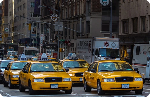 eCommerce and subscription delivery apps for pet retail and food brands